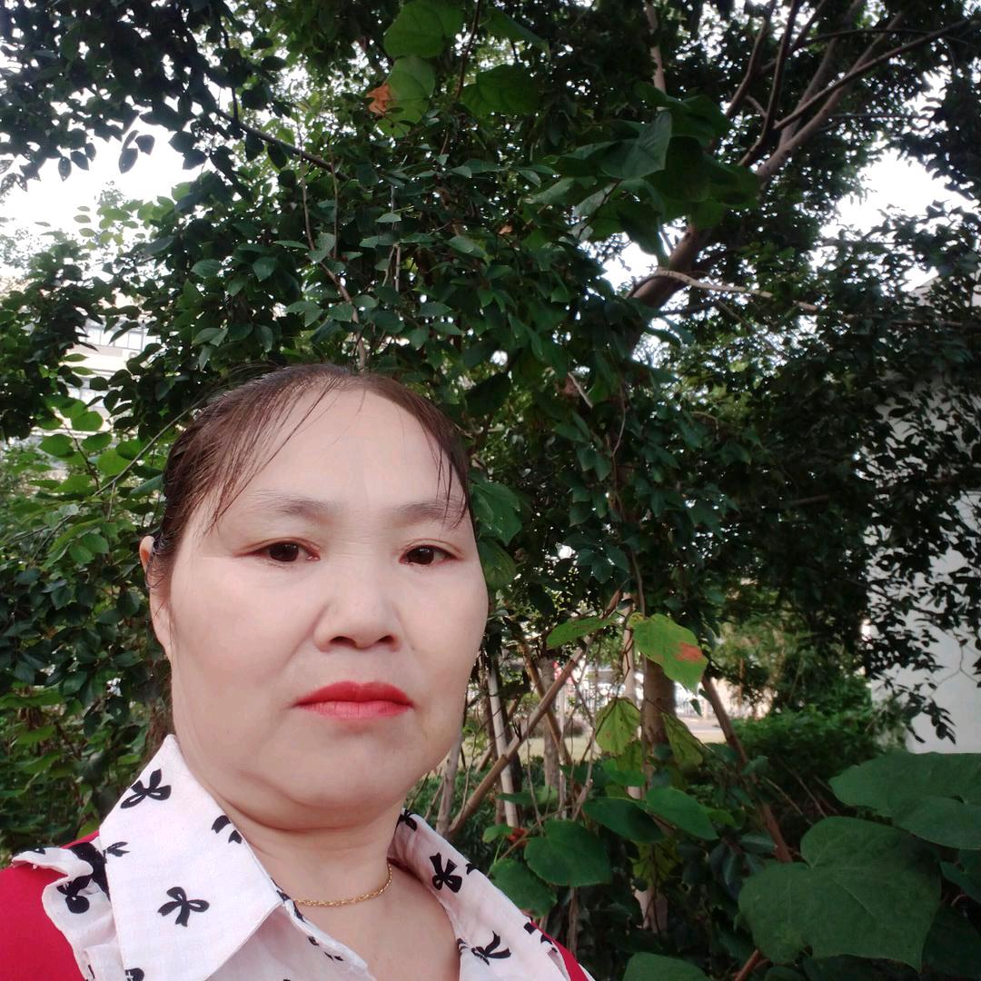 罗妹山歌668，