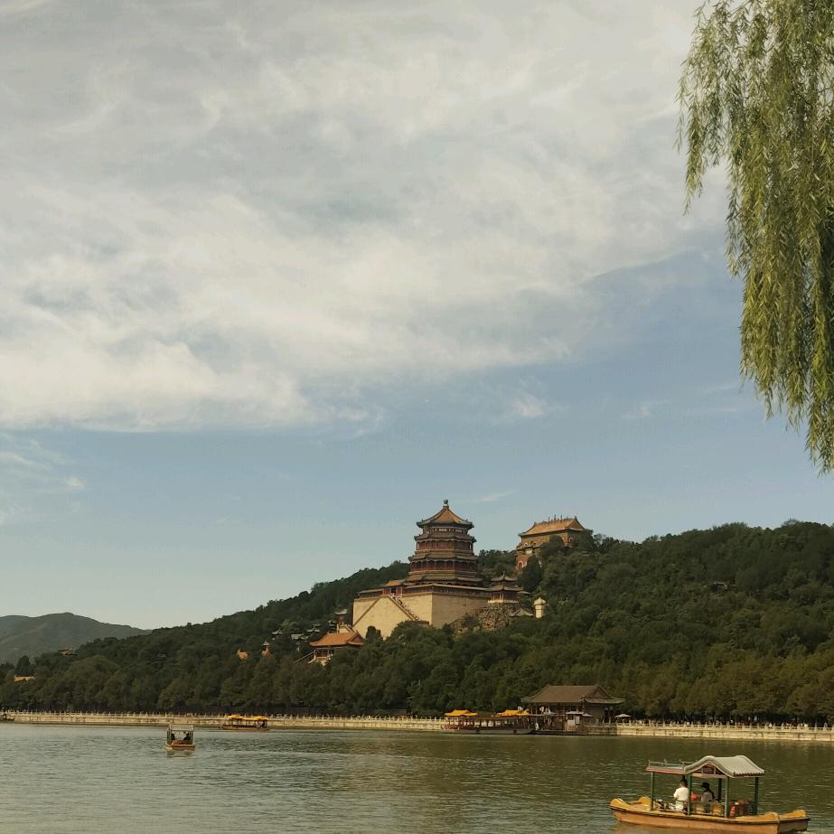 助农发展@小胖哥