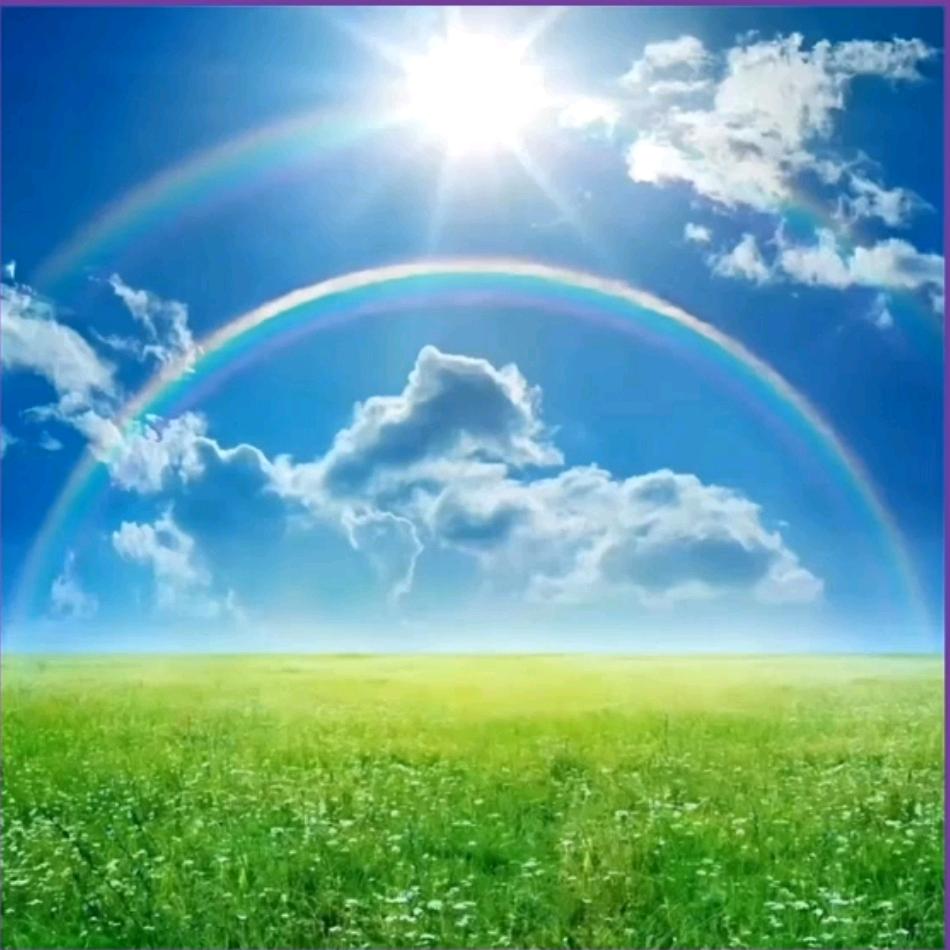 何馨婉家庭教育007