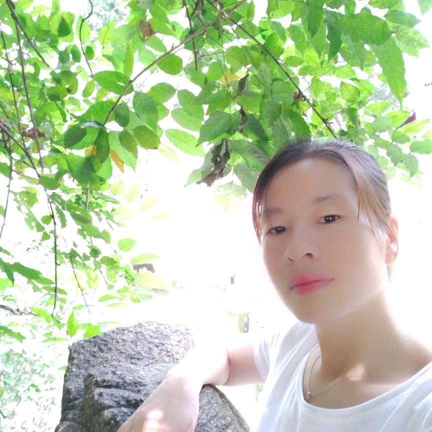 小燕子