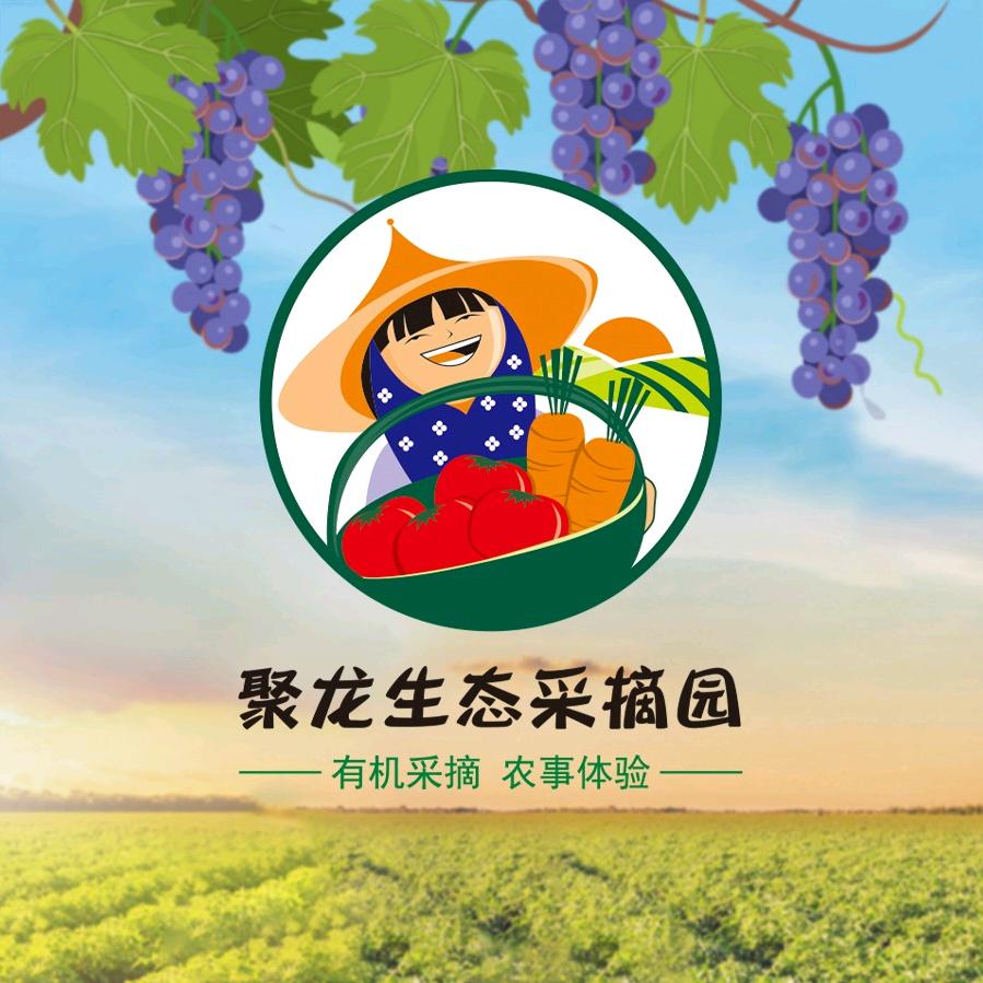聚龙生态采摘园官方号