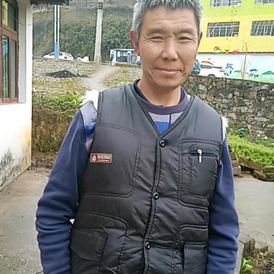 青青河边草