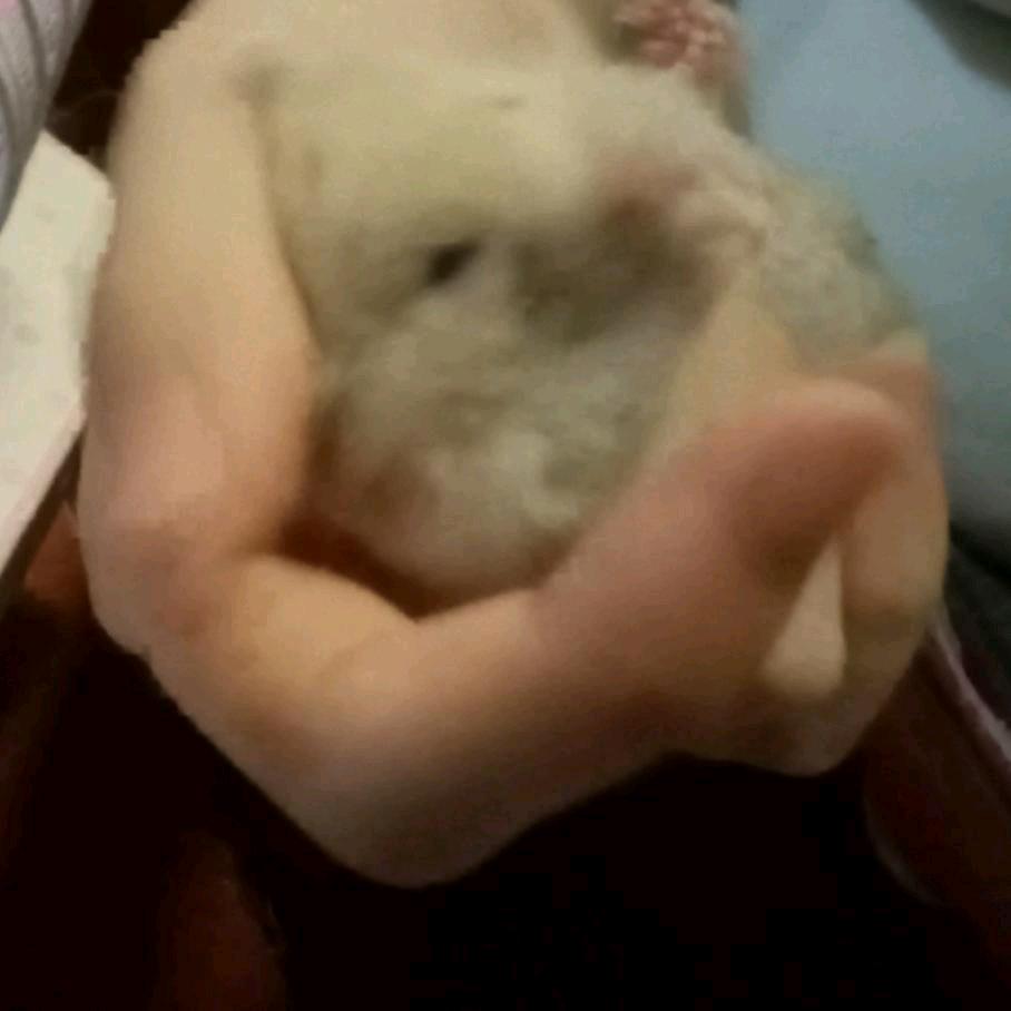 你不犯我 我不犯你