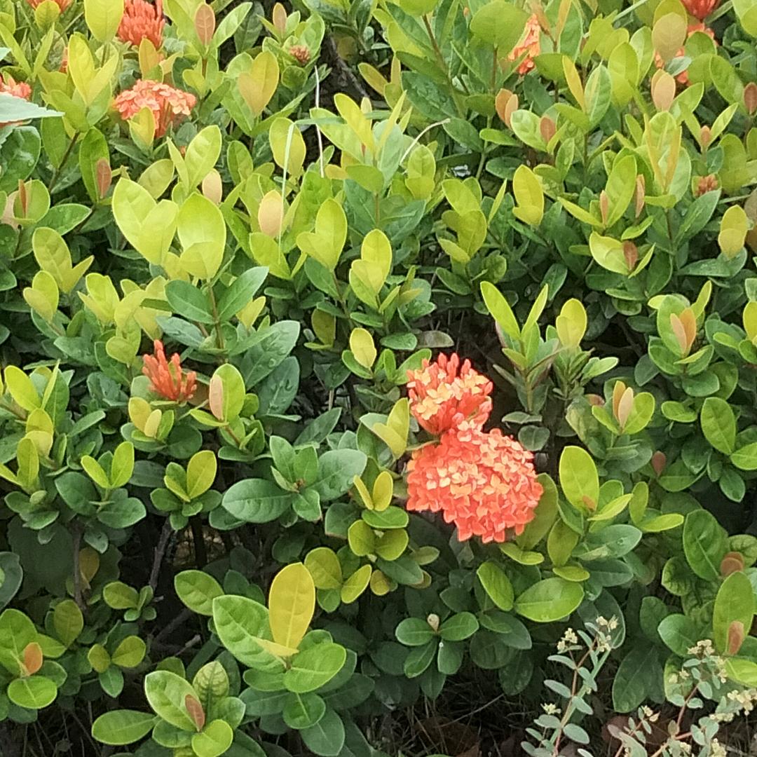 我的好宝贝，王林茹