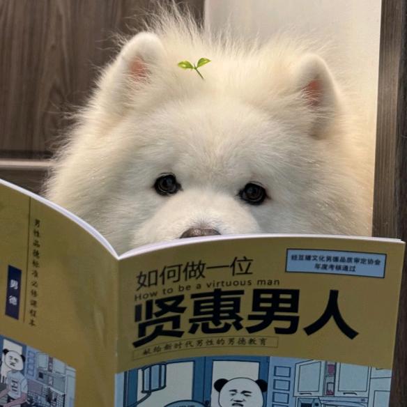 我不是好好先生喔