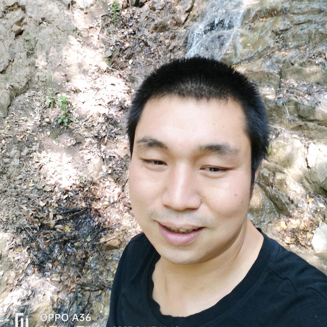 强子（从头再来）