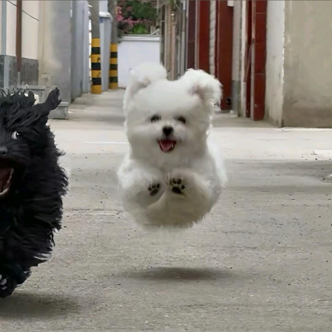 玥