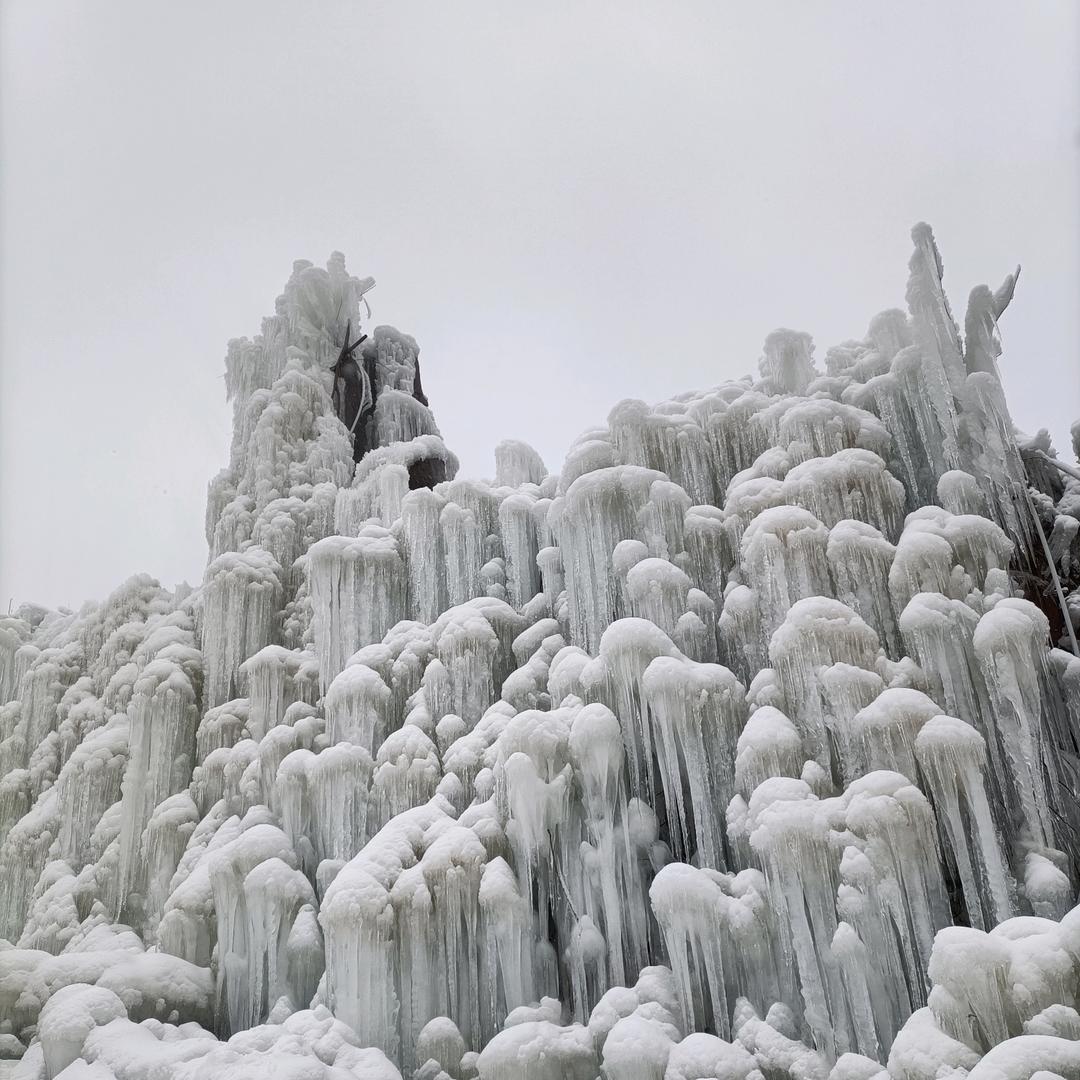 (ฅ•﹏•ฅ)似水流年ヾ(❀╹◡╹)ﾉﾞ