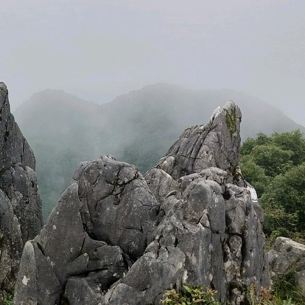 一米阳光