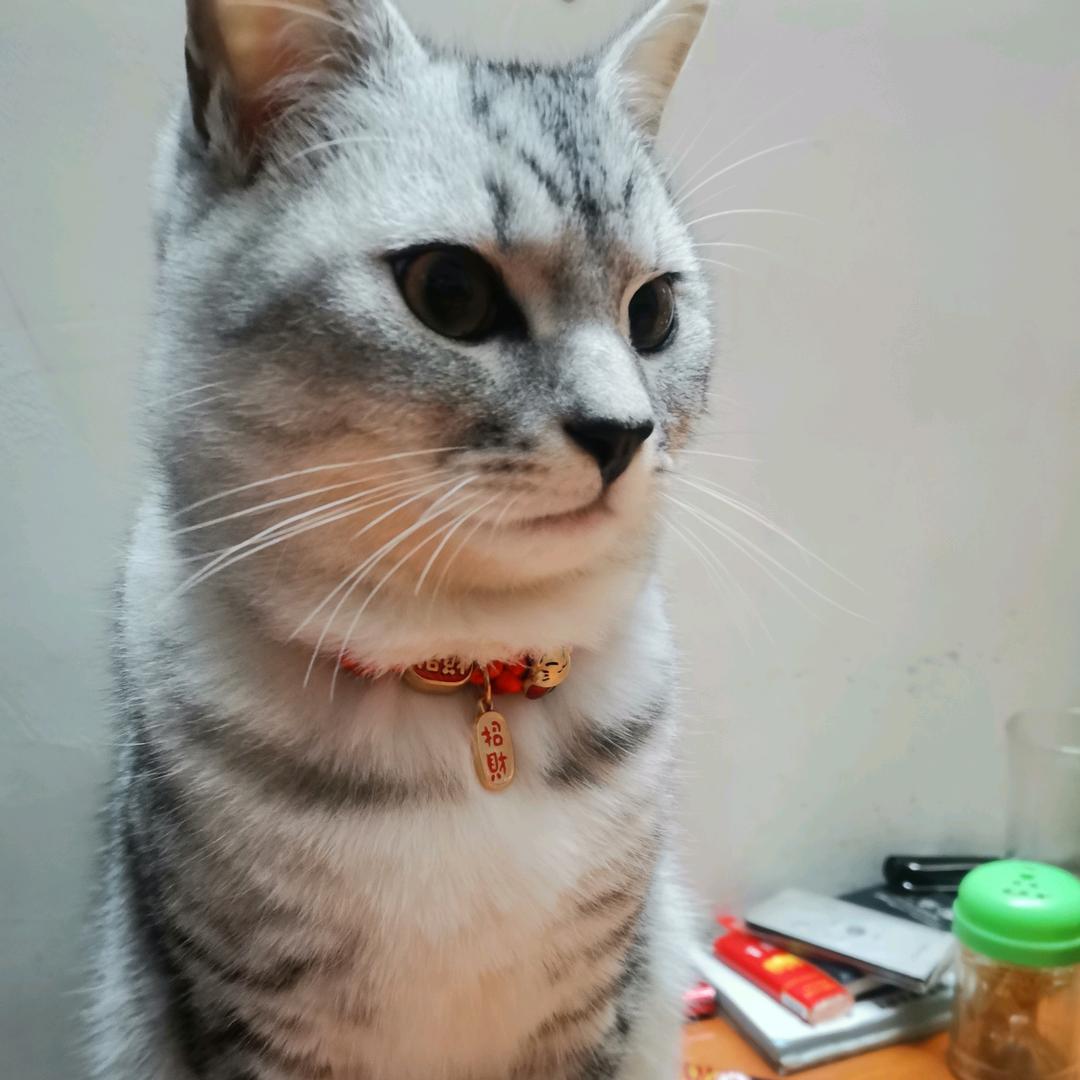 青松༄༅