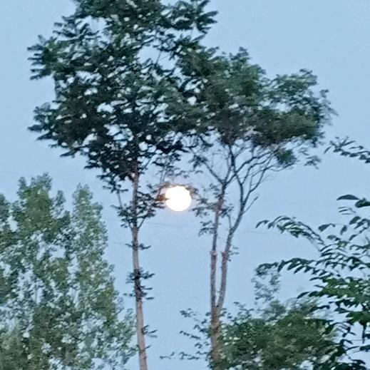 无理取闹