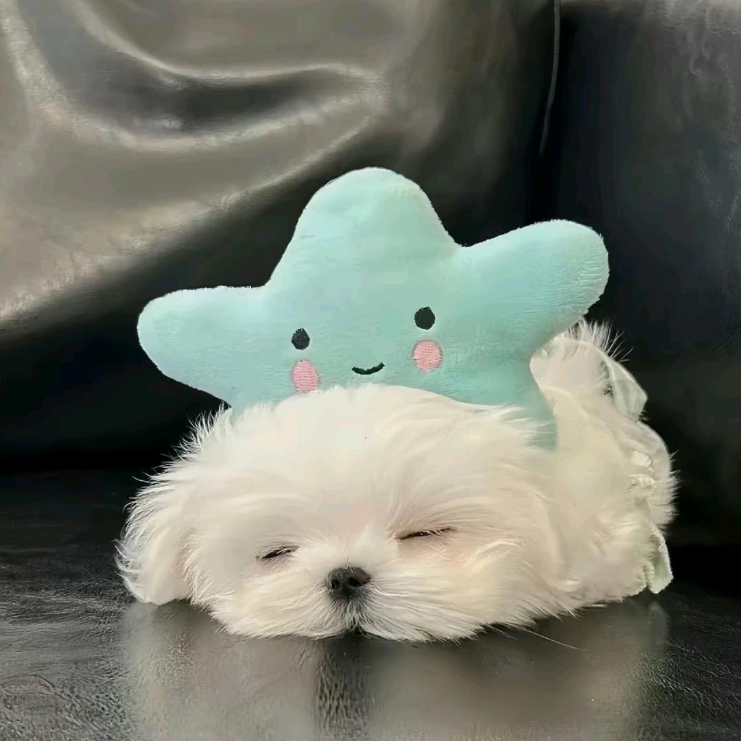小楠不难🎧