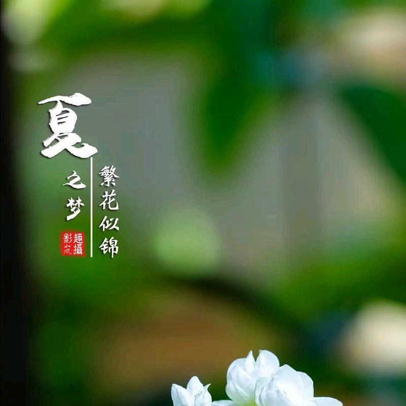 账号已更换