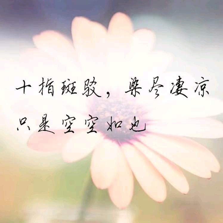 清澈向日葵