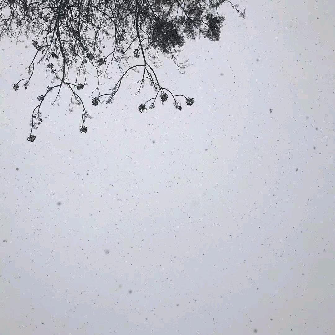 虹温蝶