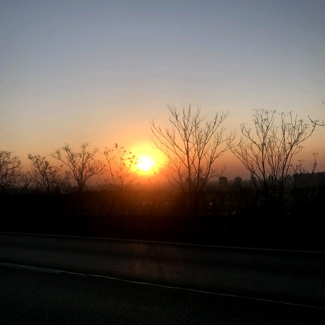 浩宇通达植物燃料油销售