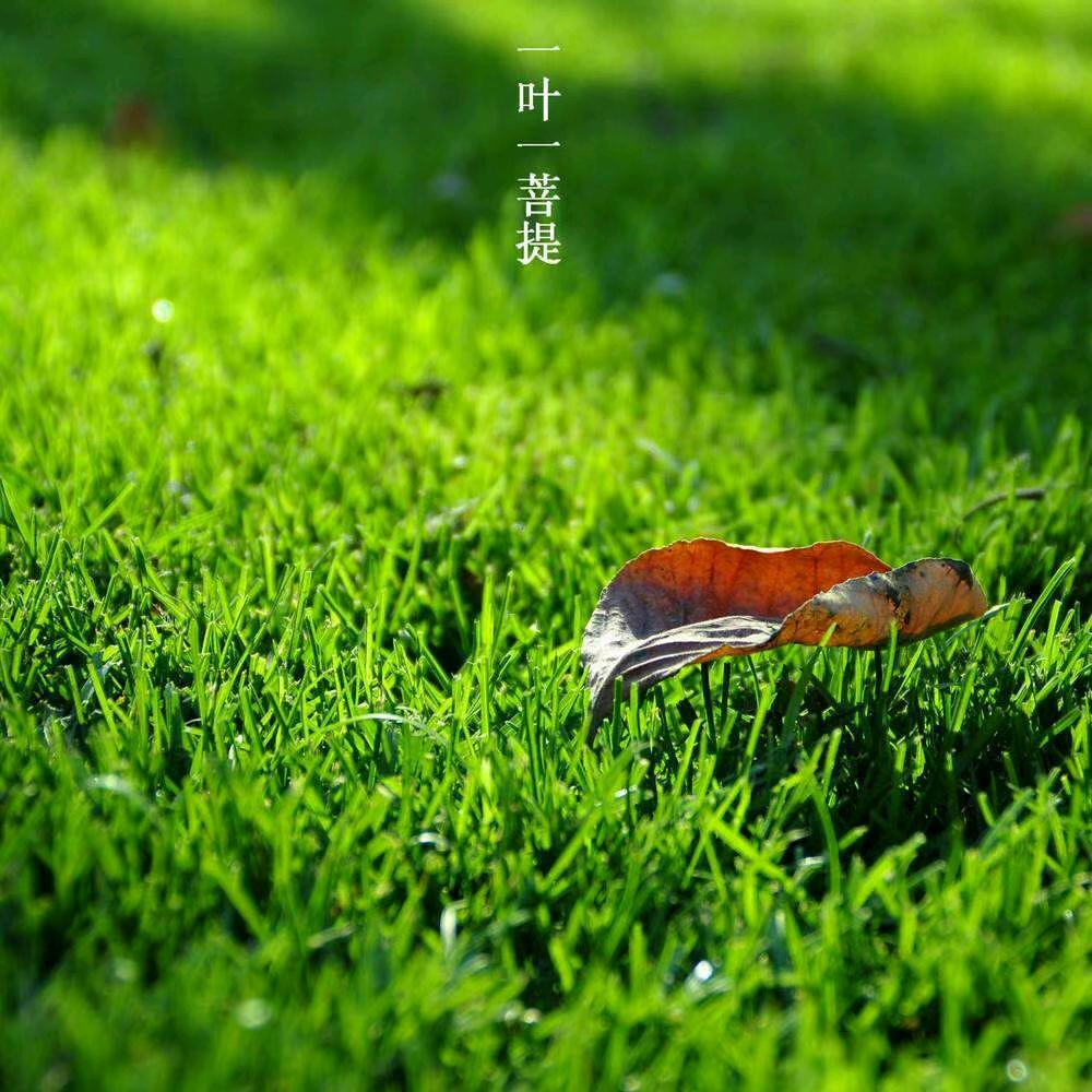 逸客