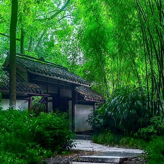 《新农人》城市套路深，我想回农村！