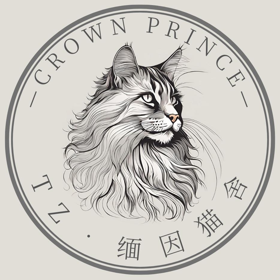 TZ･缅因猫舍