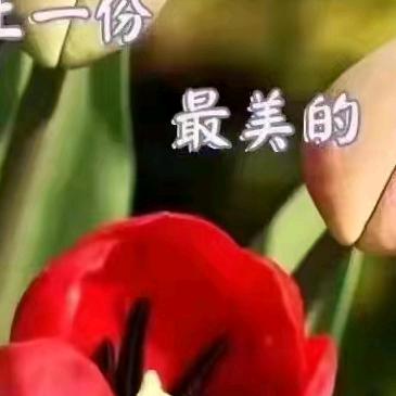 幸福一家人
