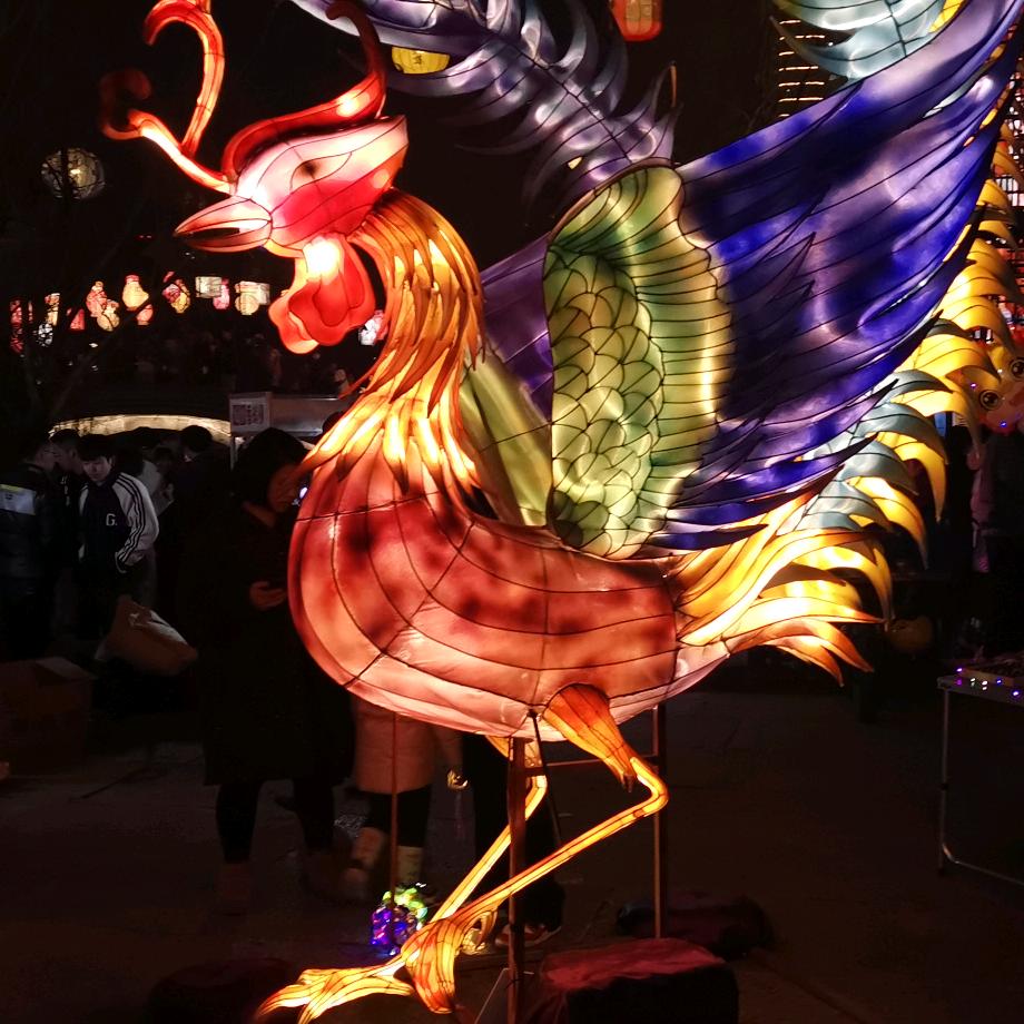 你的人生我的梦