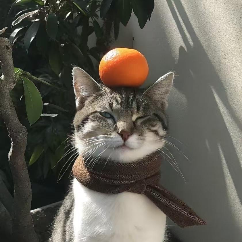 清·