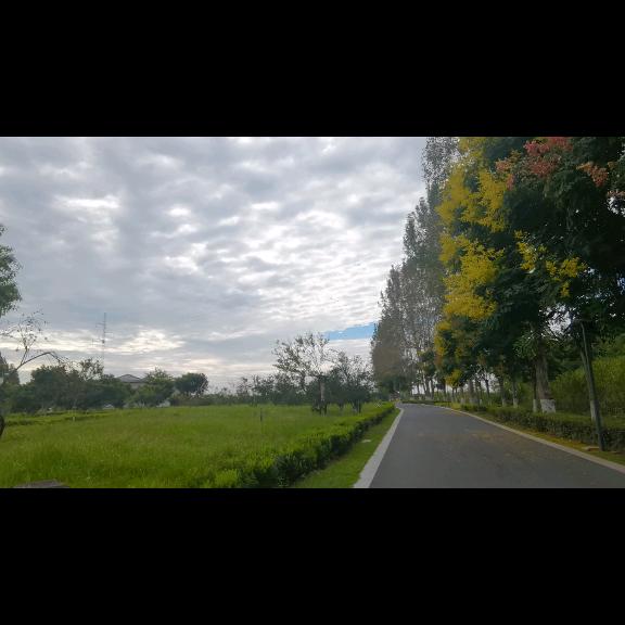 默默