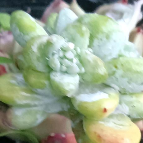 相亲相爱