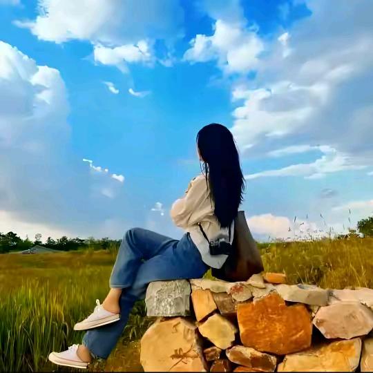 美丽的