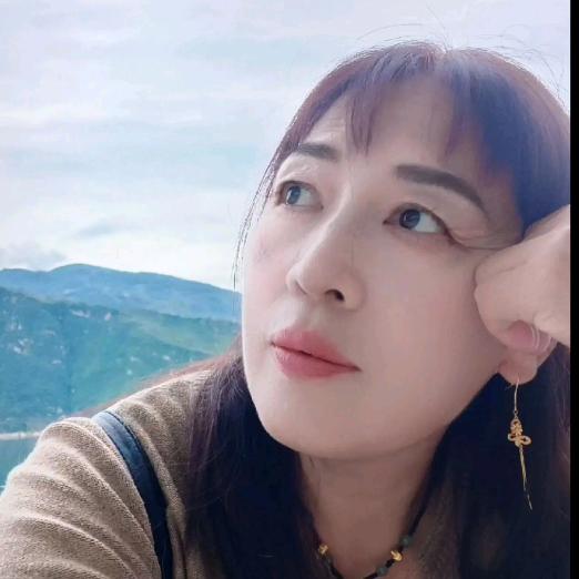 红尘中孤独的雁。