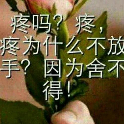 陆飞