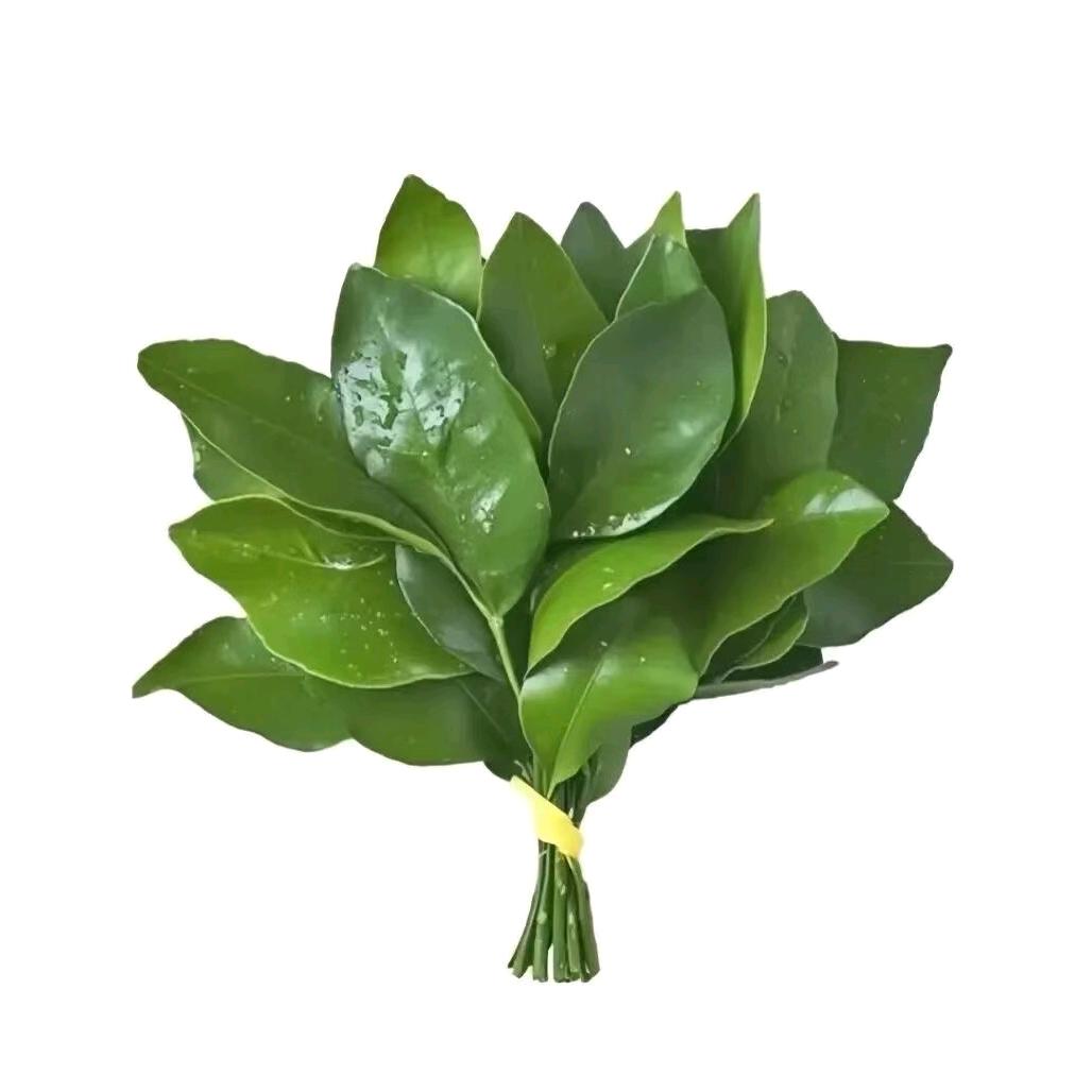 人间清醒
