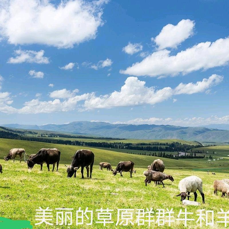 果果好物优选