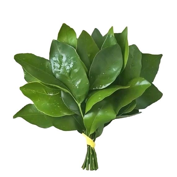 好运常在
