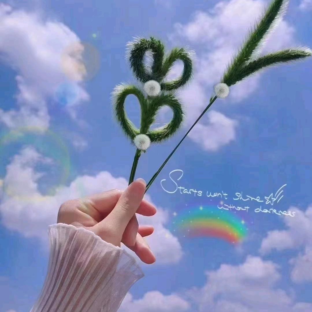 往后随心❤️