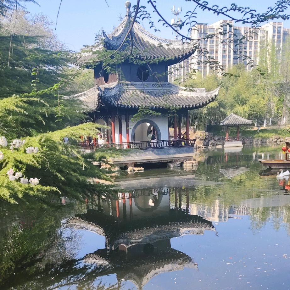 挂恋