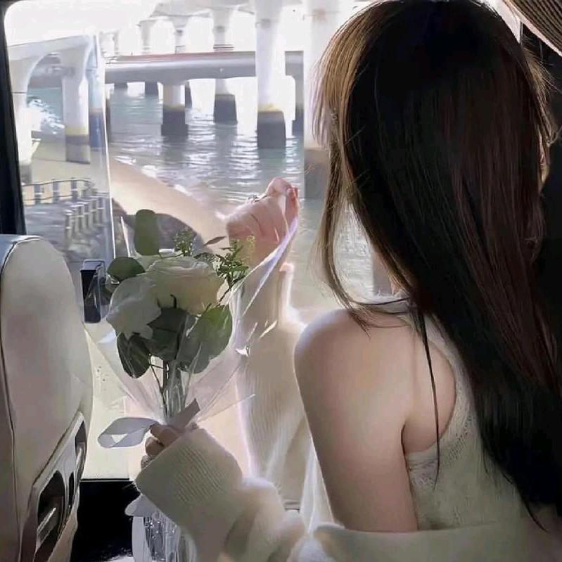 瑶兮月