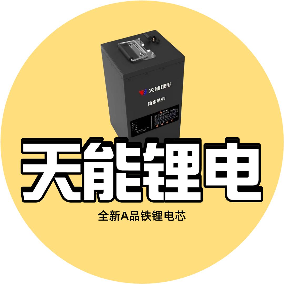 天能锂电池企业店