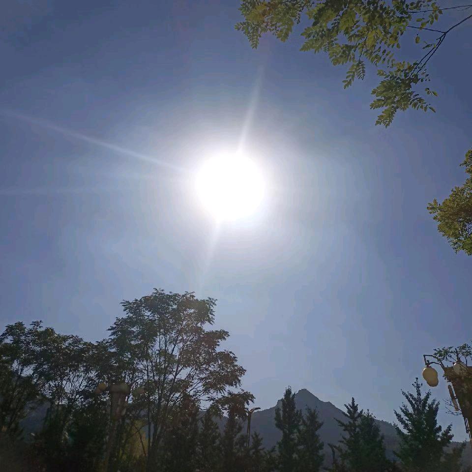 日中天