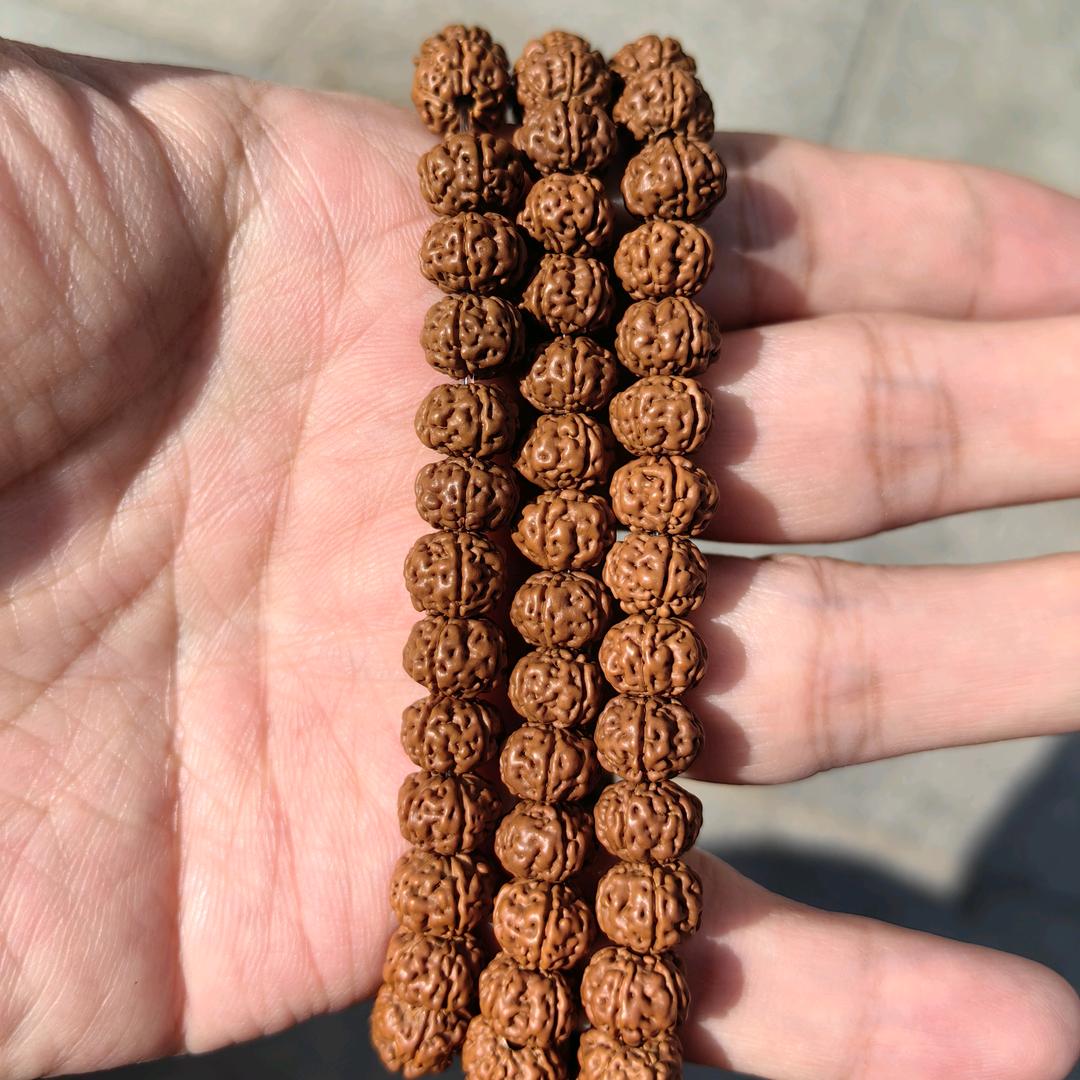 富贵原生态小金刚