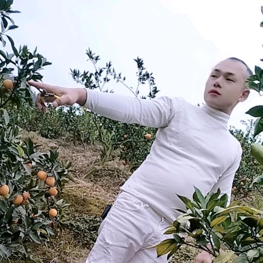 💐🌷今生最爱🌹