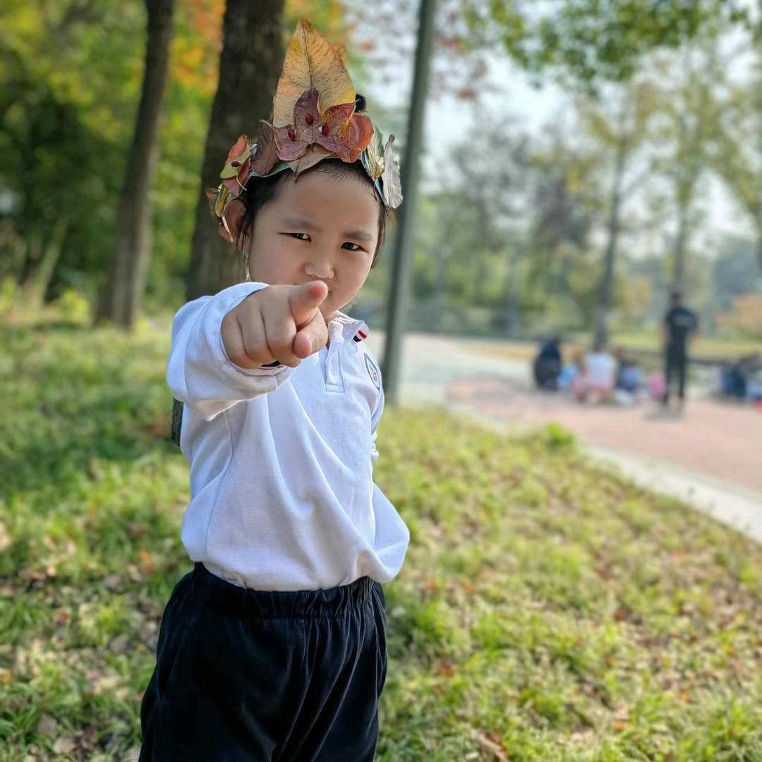 一只特立独行的🐷