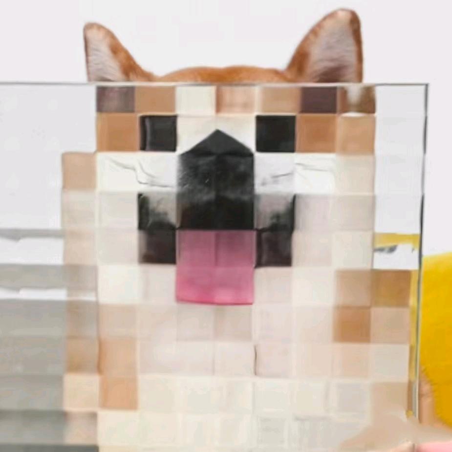 陆爻