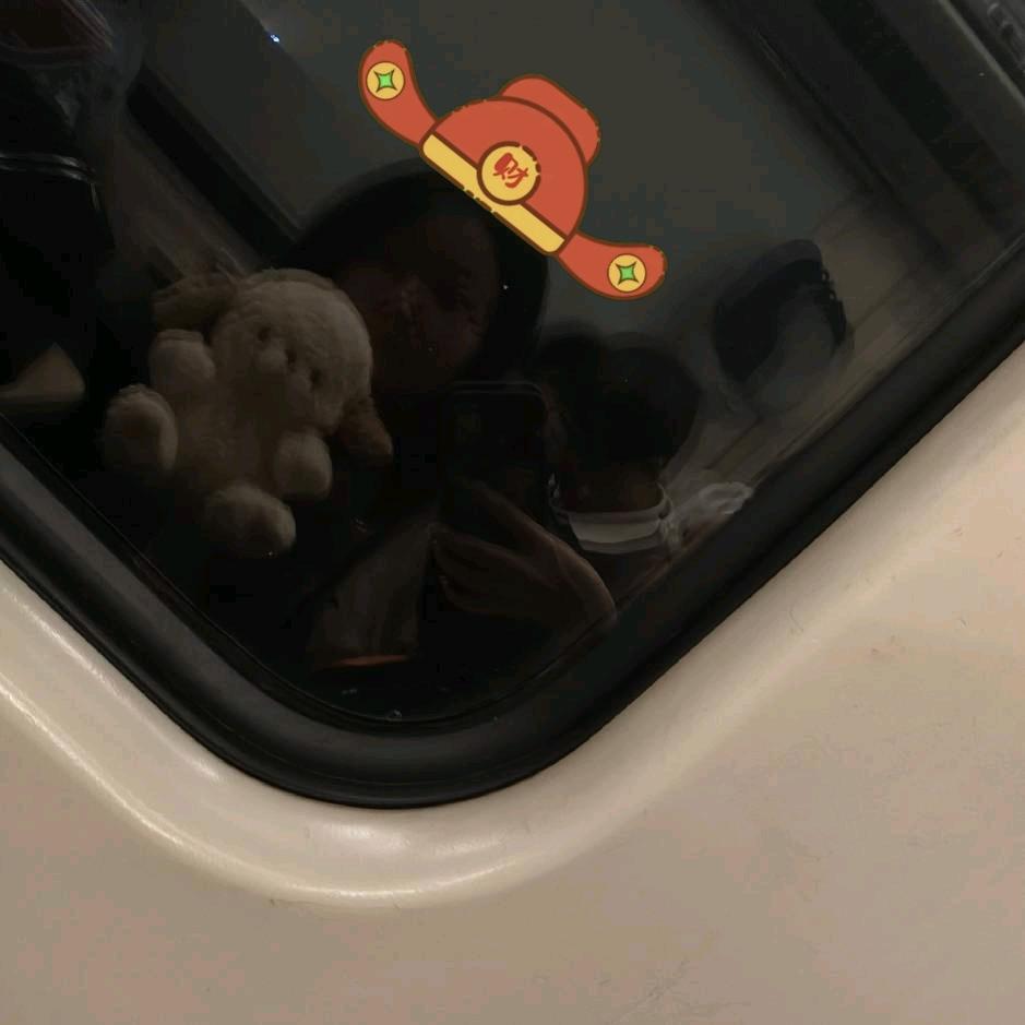 枣椰栗