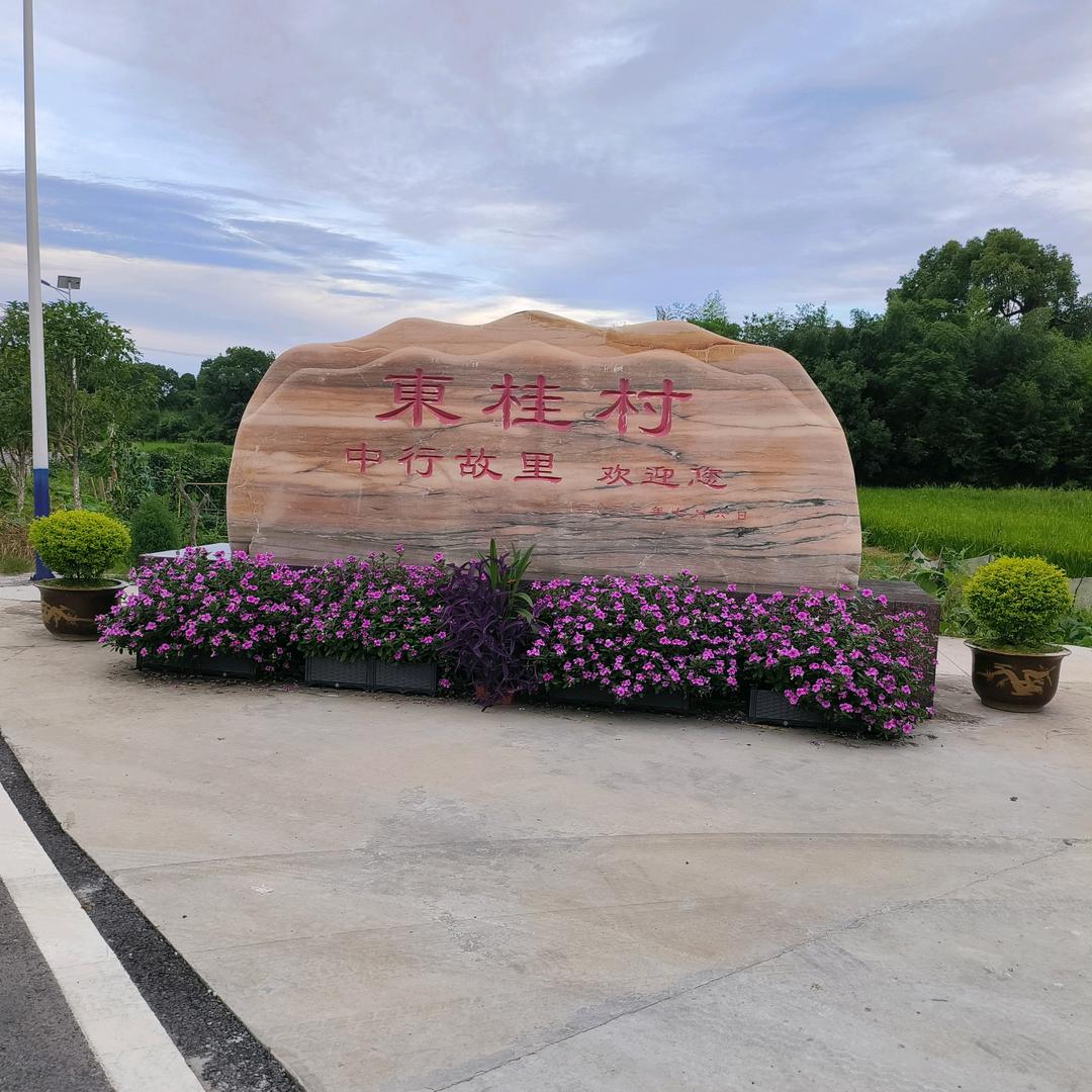 李渡镇桂三哥