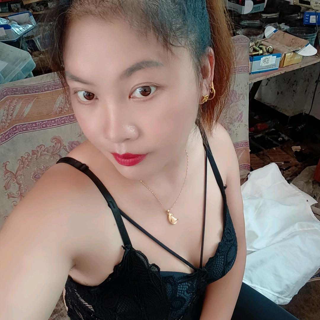 紫碟梦恋