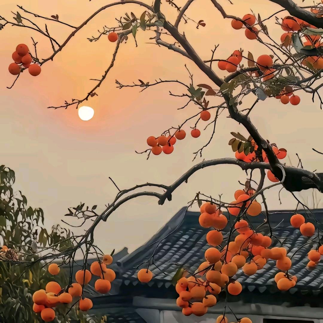 桂江🌻³⁹₆₈