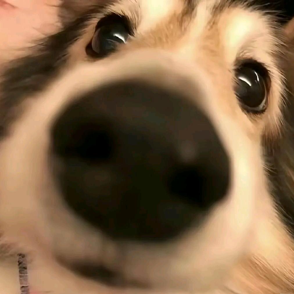 @སྒྲོལ་མ་卓