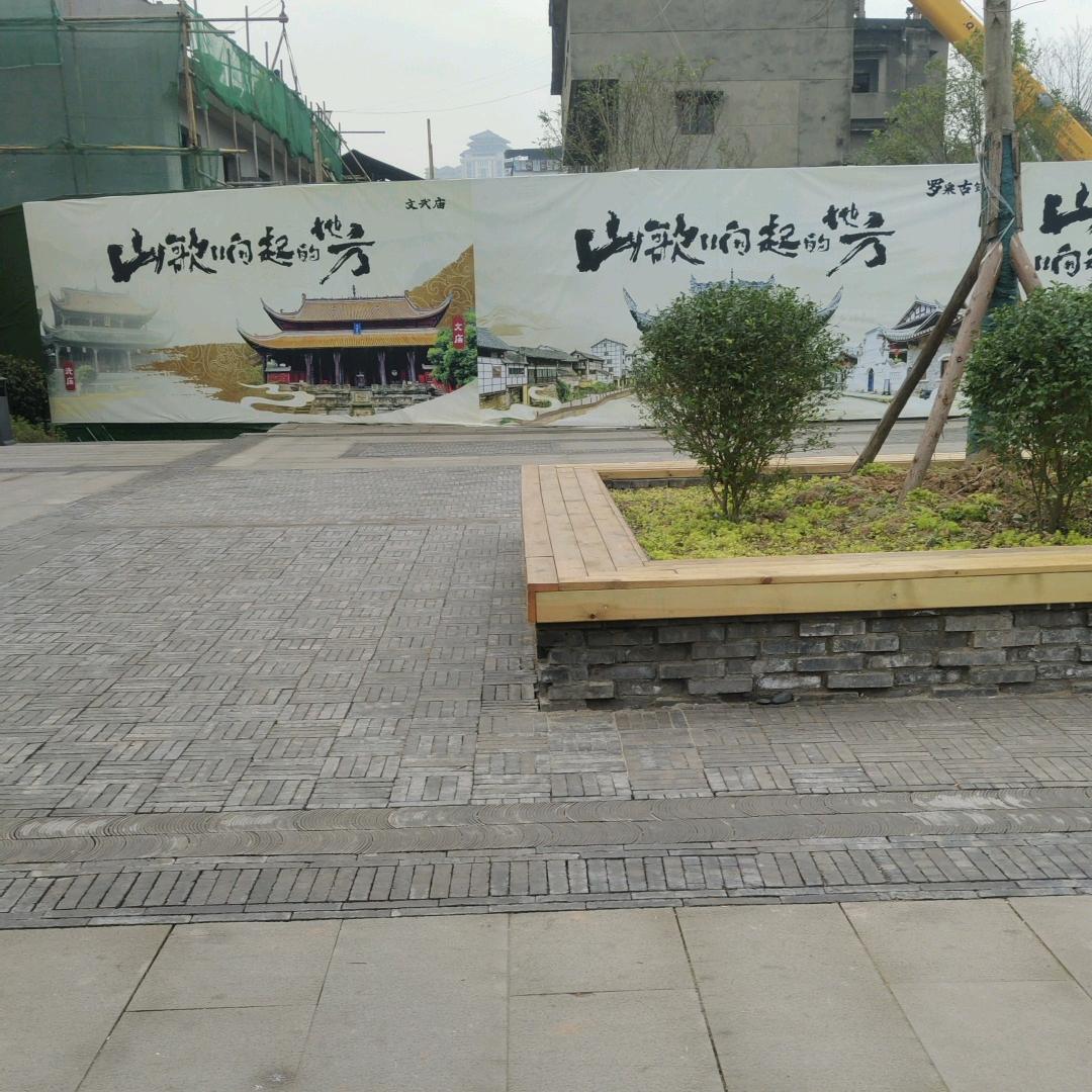 唐老二《点赞+互关》不定时开播