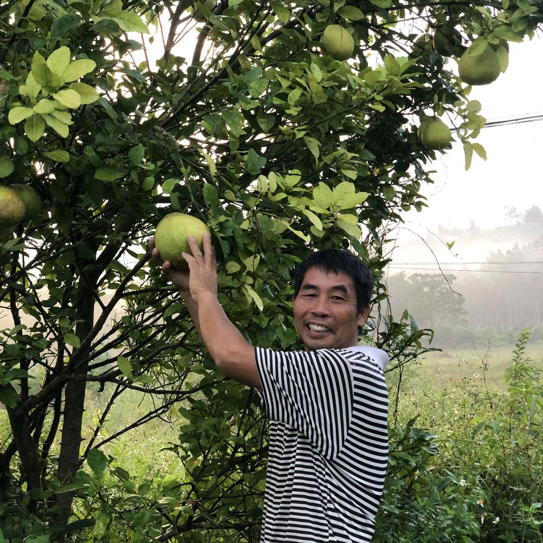 小张爸爸